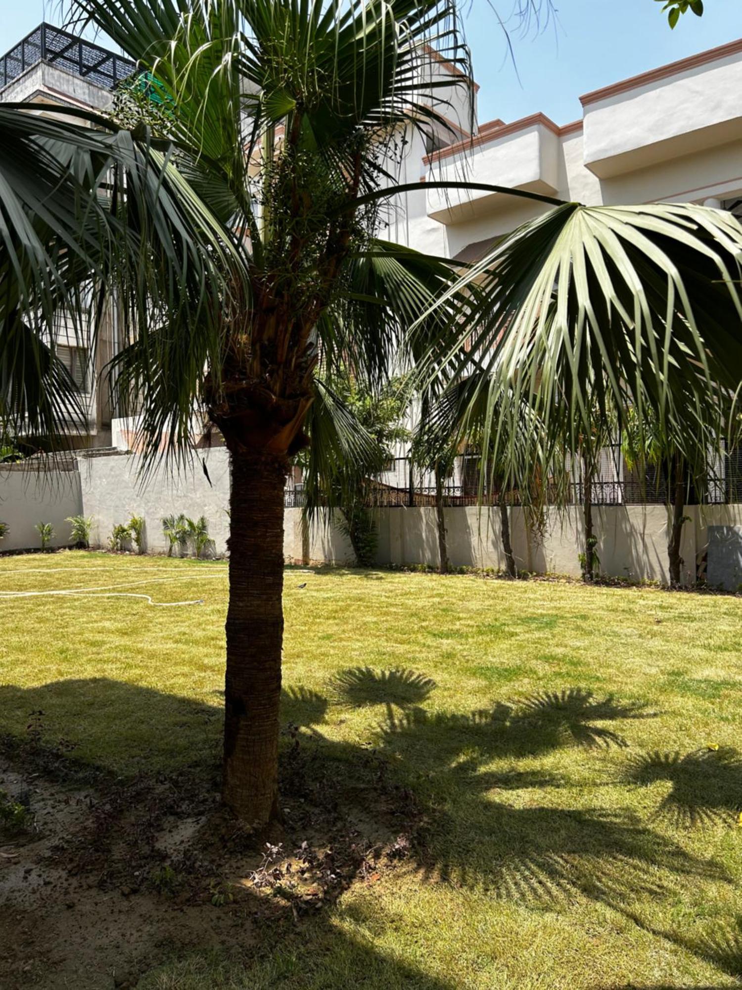 Ashirvad Homestay Varanasi Exterior foto